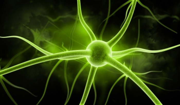Neurofizjologiczne efekty manipulacji kręgosłupa- skąd mniejszy ból?